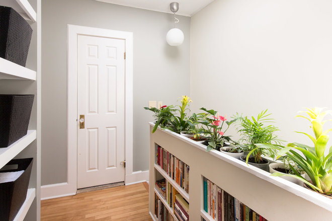 На кухне огород, а в ванной орхидея… Выбираем растения в каждую комнату!
