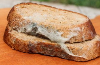 Кандидат медицинских наук Виктор Хрущев: «Стоит убрать из вашего рациона питания современный хлеб»