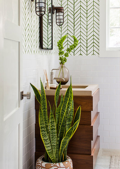 На кухне огород, а в ванной орхидея… Выбираем растения в каждую комнату!