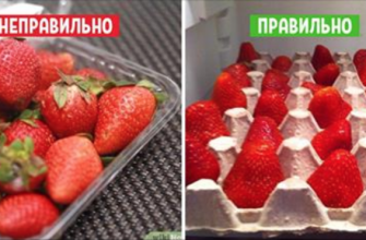 Так делают в элитных ресторанах: 11 хитростей, которые сохранят фрукты свежими надолго!