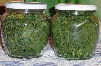 ХРАНЕНИЕ УКРОПА НА НЕСКОЛЬКО МЕСЯЦЕВ СВЕЖИМ БЕЗ ЗАМОРОЗКИ