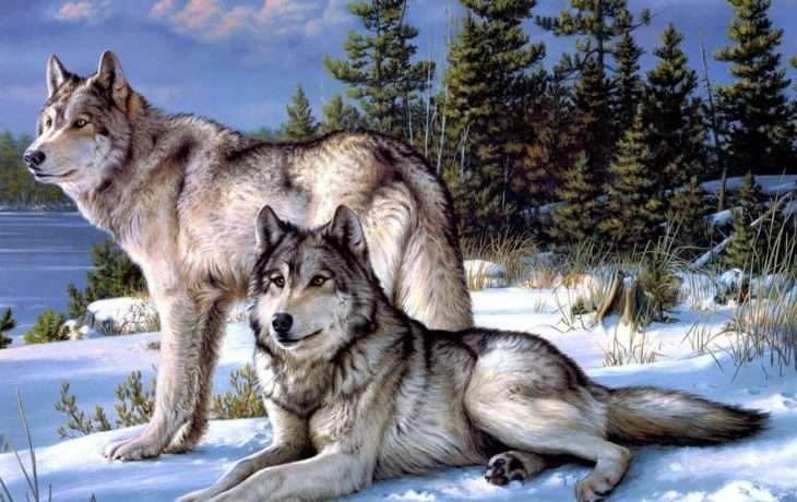 Мудрая притча про двух волков. Читается за 20 секунд, а запоминается на всю жизнь…