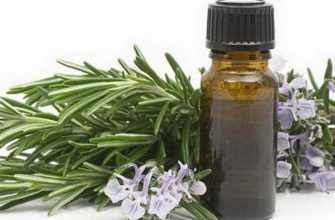 ПРОСТО ДОБАВЬТЕ ЭТО В ШАМПУНЬ — И НИКАКИХ ВОЛОС НА РАСЧЕСКЕ!