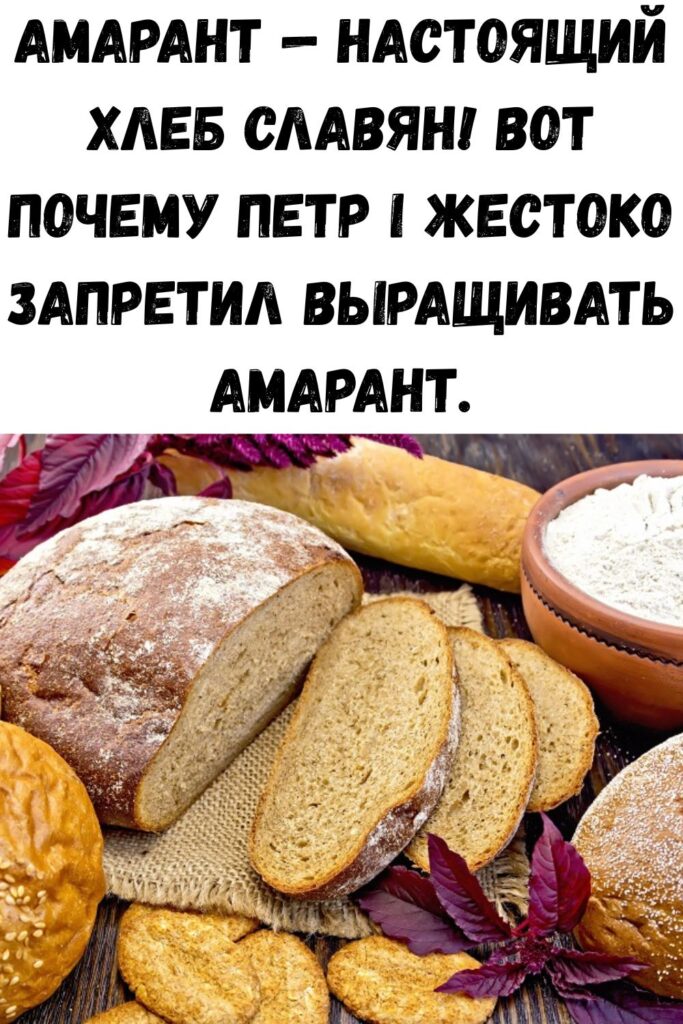 Амарант — настоящий хлеб славян! Вот почему Петр I жестоко запретил выращивать амарант.