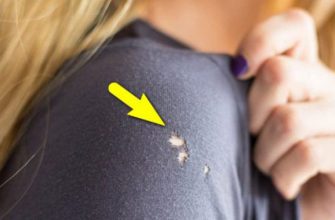 КАК БЫСТРО ПОЧИНИТЬ ПОРВАННУЮ ОДЕЖДУ… БЕЗ ИГОЛКИ И НИТКИ