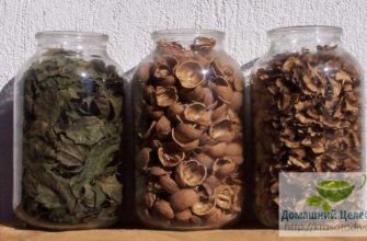 Три важных народных средства для лечения поджелудочной железы