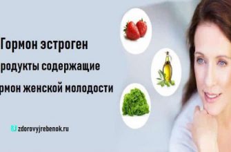 Гормон эстроген: продукты содержащие гормон женской молодости
