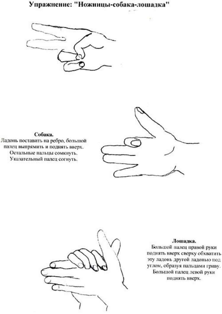 Кинезиологические упражнения для детей: улучшение памяти и внимания