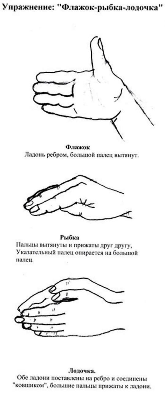Кинезиологические упражнения для детей: улучшение памяти и внимания