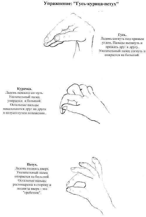 Кинезиологические упражнения для детей: улучшение памяти и внимания