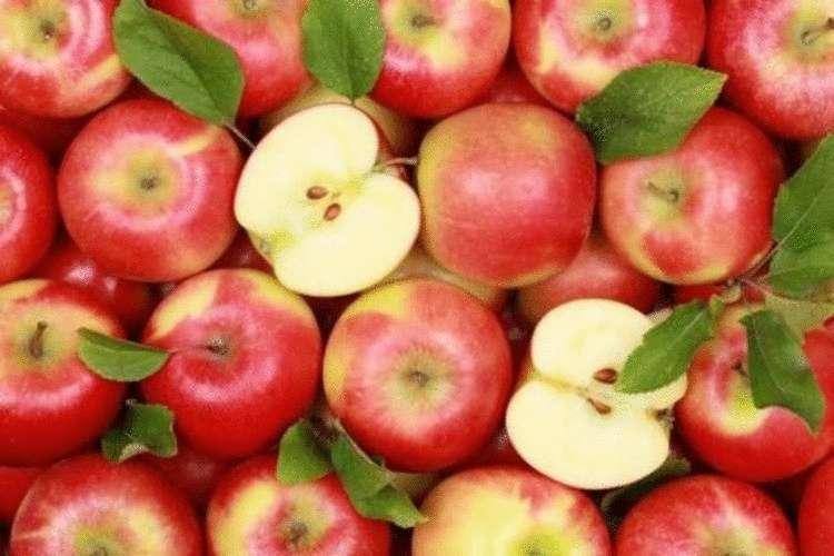5 продуктов, которые в два счета очистят твой организм от шлаков и токсинов!