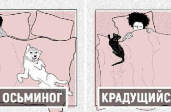 10 основных позиций для сна домашних животных с человеком, и что они значат для наших питомцев