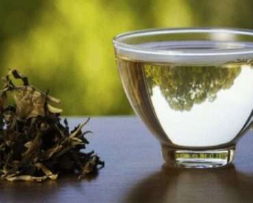 Преимущества белого чая для здоровья, о которых стоит узнать