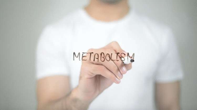 Как восстановить метаболизм: 5 основных моментов