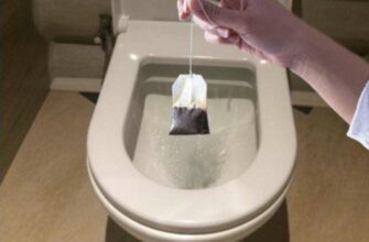 Вот зачем китайские горничные кладут чайные пакетики в унитаз. Теперь и я так делаю
