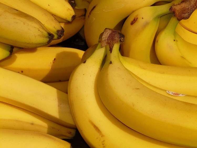 Диетические продукты: сколько калорий содержат в себе самые известные составляющие нашей диеты?