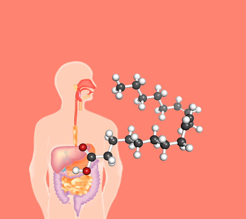 Конъюгированная линолевая кислота Снижение веса и рост