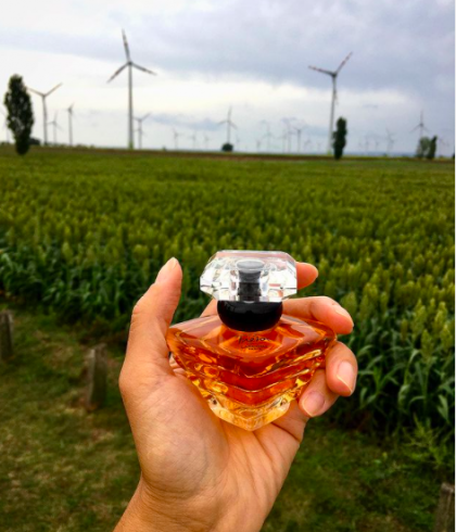 Какой парфюм выбрать, чтобы пахнуть дорого: 5 женских ароматов