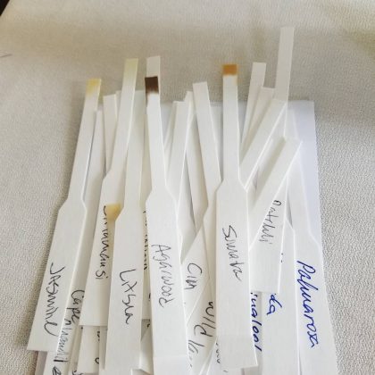 5 предметов, которые должны быть в мусорном ведре, но лежат в вашей сумке